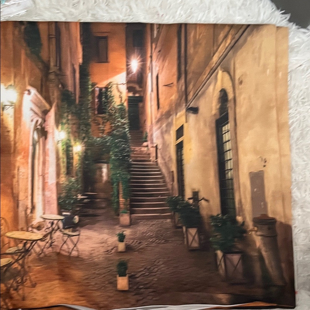 2 Charming Italian Street Scene Pillow Covers 20”x 20” - Picture 3 of 3